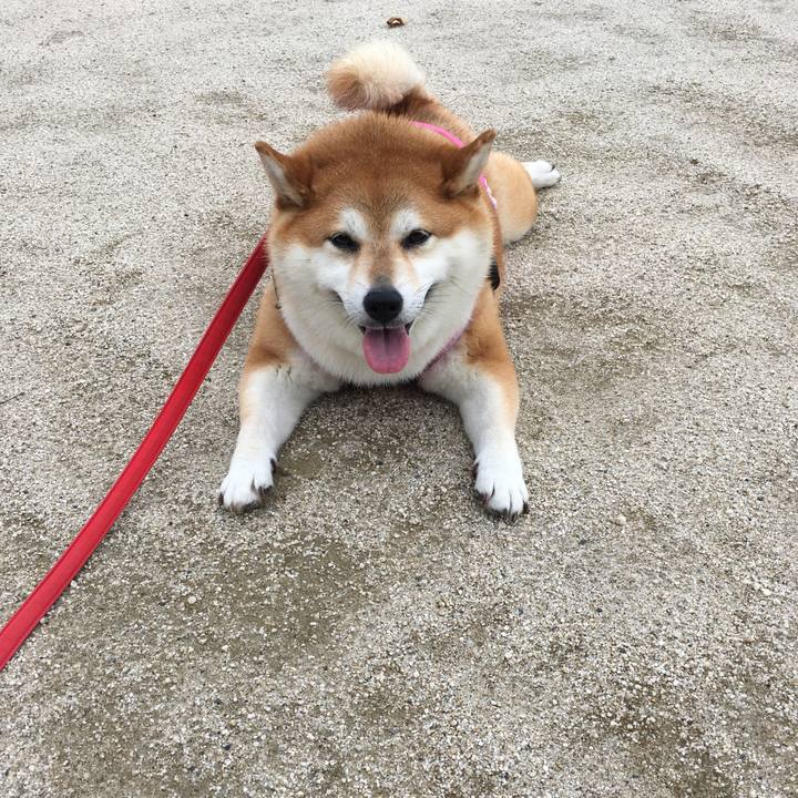 Cf20935c baa0 4366 aa8a 61fd6b4ffec9 1595821172178