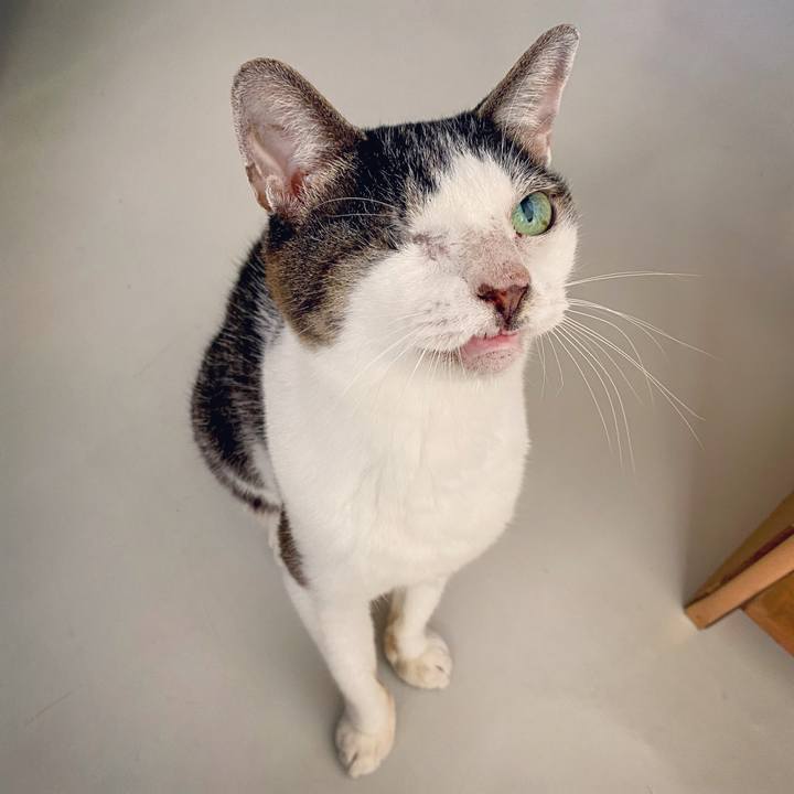 Cf20a2ec 7702 4f56 b1fa 63abf12346d2 1629356206675