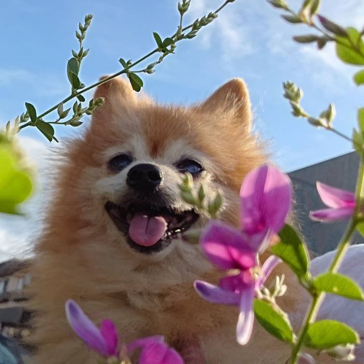 Cf20a6fa 02ec 4402 8f1f 9f354091fe80 1600501329513