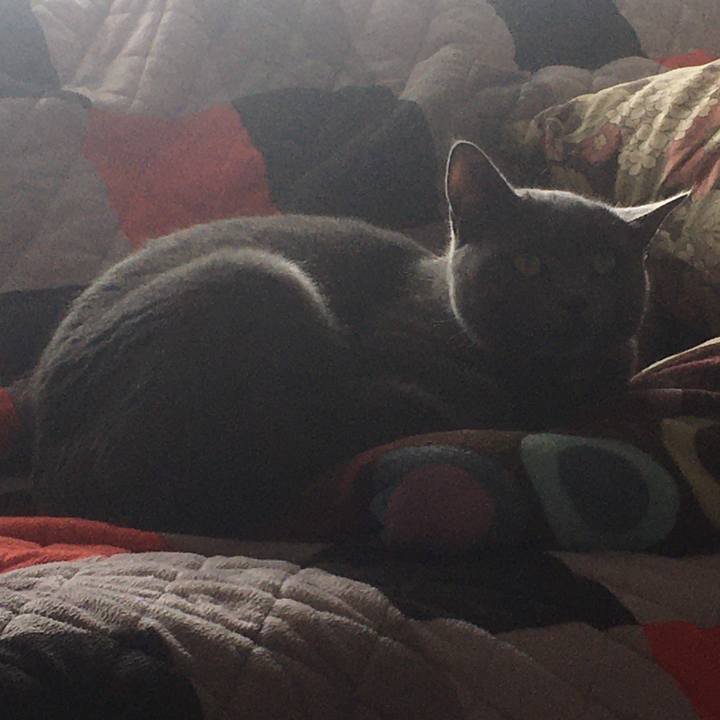 Cf20d8a5 e198 4cd3 ade9 e4ba59b6305d 1633131156846