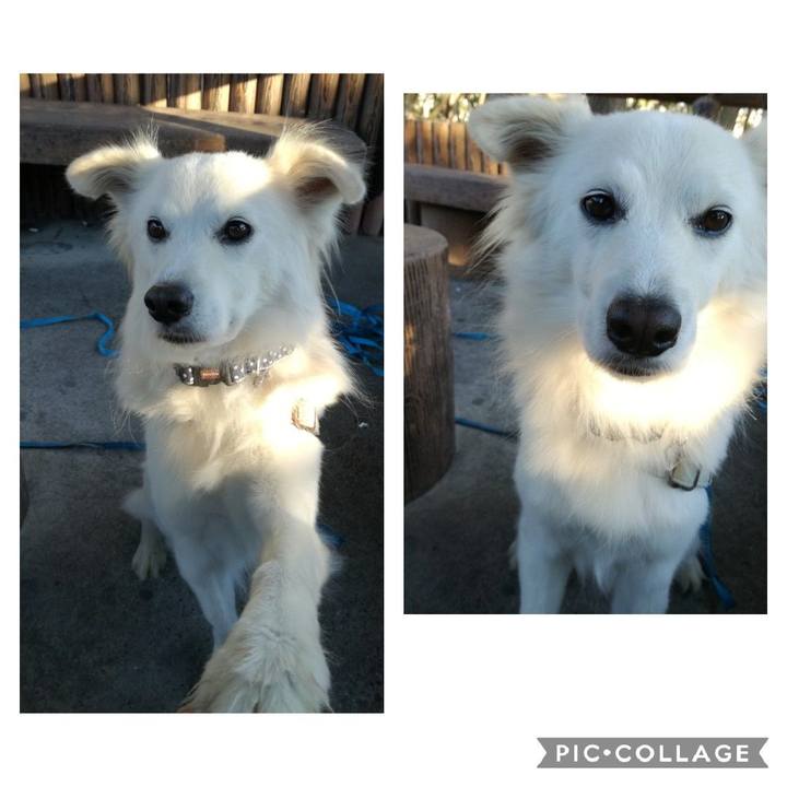 Cf20e8a0 b1a7 4bde 9cf4 e7c598fbd2af 1542341260935