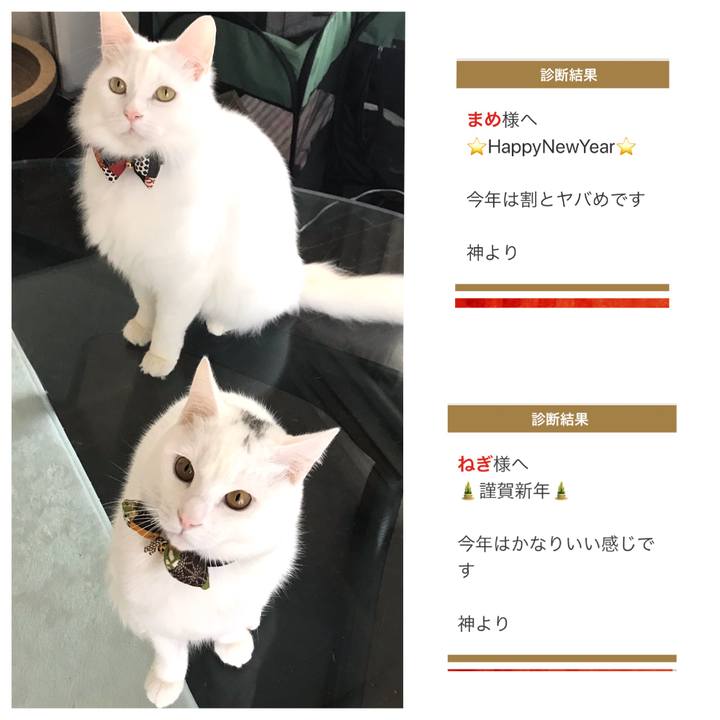 Cf20f55a 4eb9 475d 9a4f 45e260ead198 1577933911153