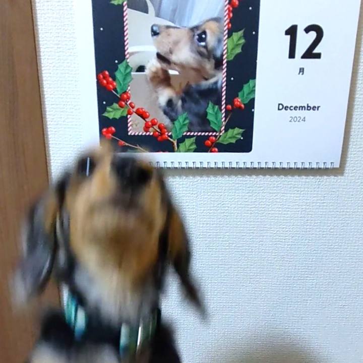 Cf210702 634f 4f20 9cde cffed09a337c 1702428037898