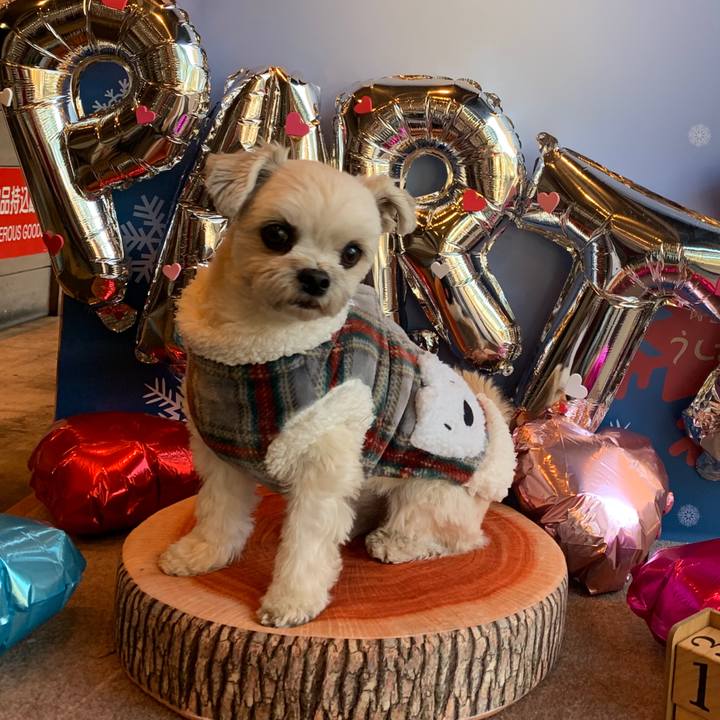 Cf214817 ce82 45be 89a9 cc8529f30b1f 1579518504218