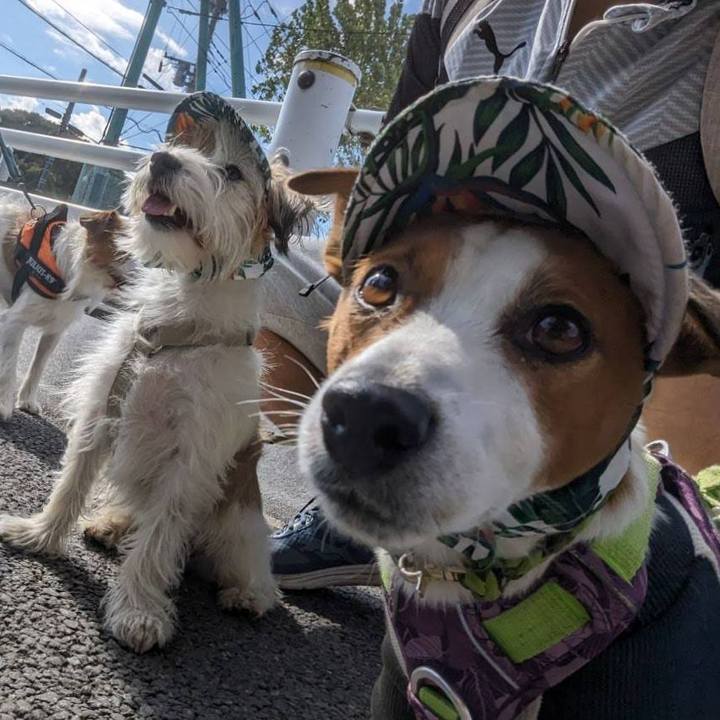 Cf21bad3 7241 4246 9a48 807eda42feae 1697940093322