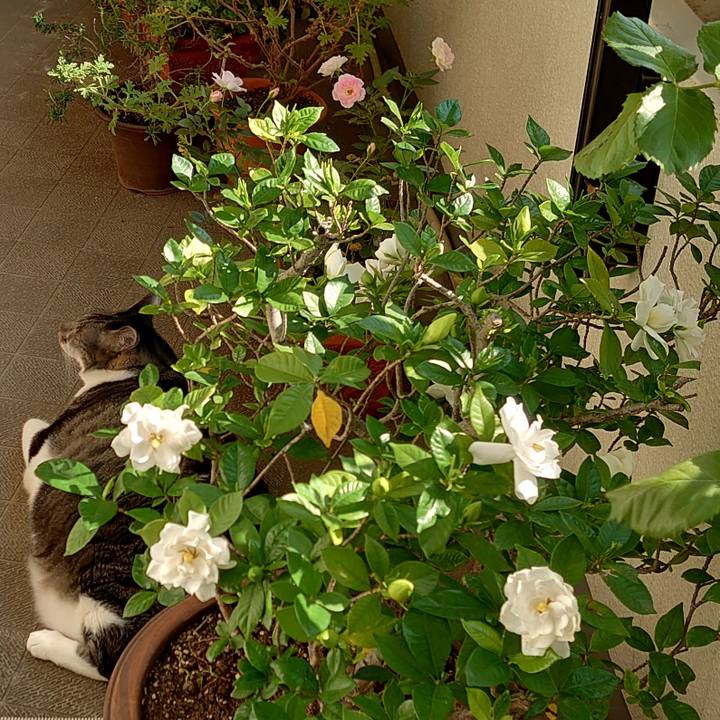 Cf21d235 91d3 4352 8c9f 497f4f5c240e 1624835150228