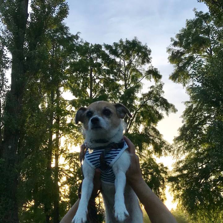 Cf21f765 bc78 46ce b3c4 6fd8e10834bf 1565651767912