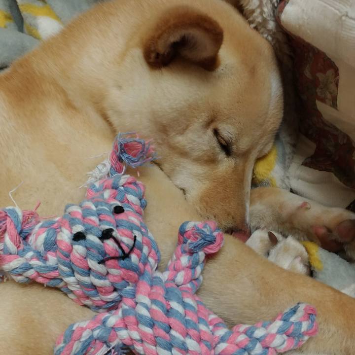 Cf223004 357b 481c 9593 371508d2f365 1519045900048