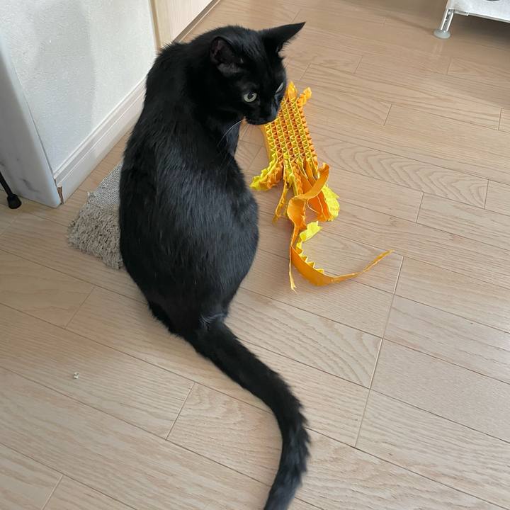 Cf223175 5fde 4759 a477 33f10d5e0b93 1698998730589