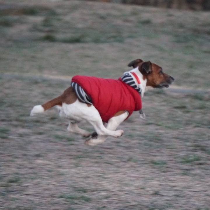 Cf2299a3 6401 4c30 a7da c080907f51a2 1583967349056