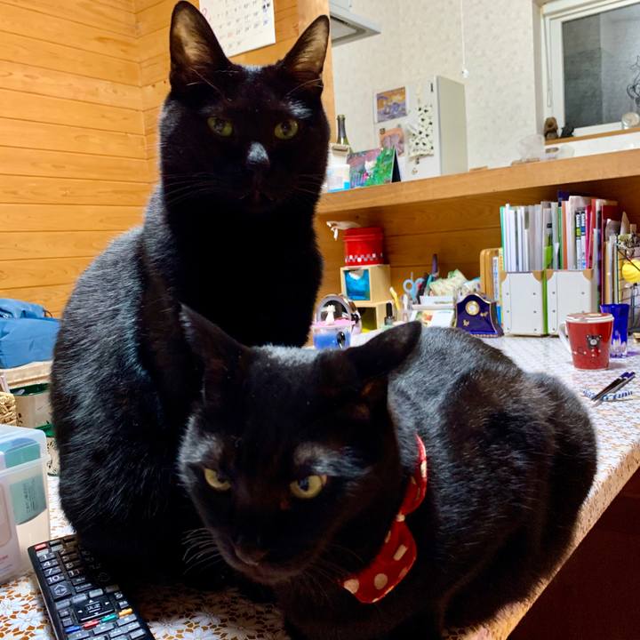 Cf22c643 fbd4 4768 8688 06d8848be197 1600432636951