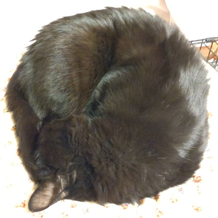 Cf22f7a2 0bb6 400f 9b37 1942a2a56d5f 1641202163105