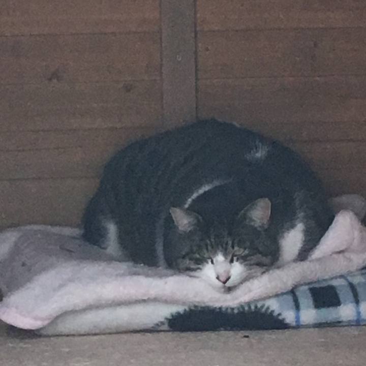 Cf231893 02f6 4c53 9e90 888593c43fe3 1546056865599