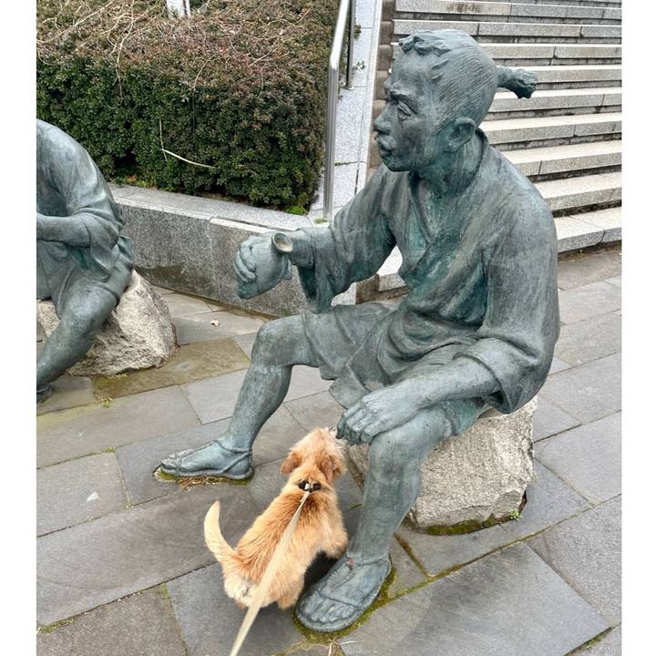 Cf232c84 012b 47df 9447 254da99a2fce 1710812694571