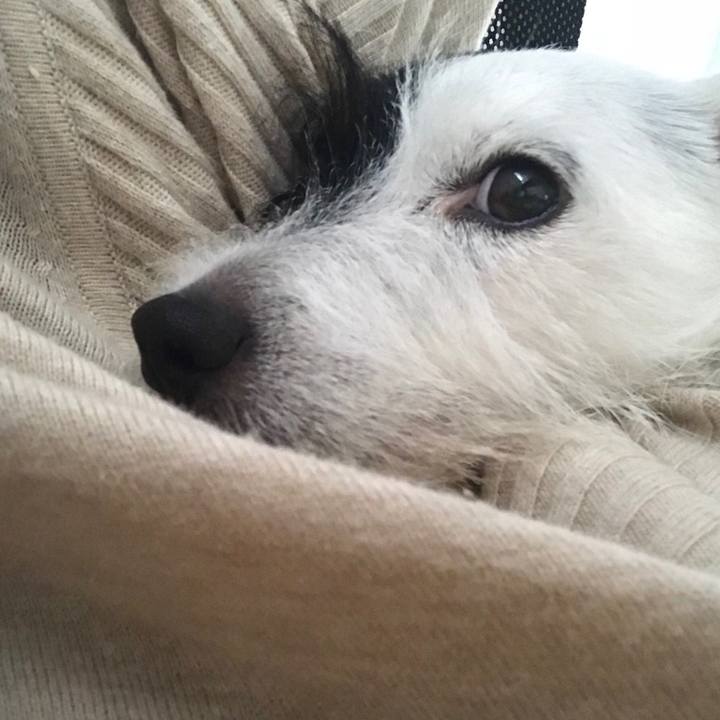 Cf234e99 0c0c 43d5 8527 ac98bc4d2c05 1507875858714