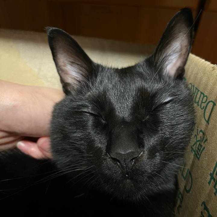 Cf23876a 1b6b 486a b6ed a56a01504053 1688997495013