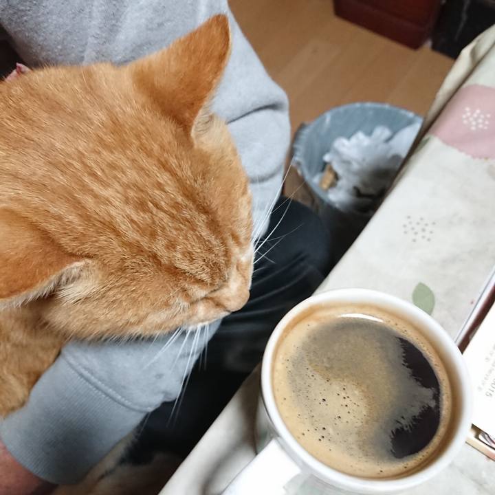 Cf23a8f0 4716 4186 8602 516c20435264 1606506155456