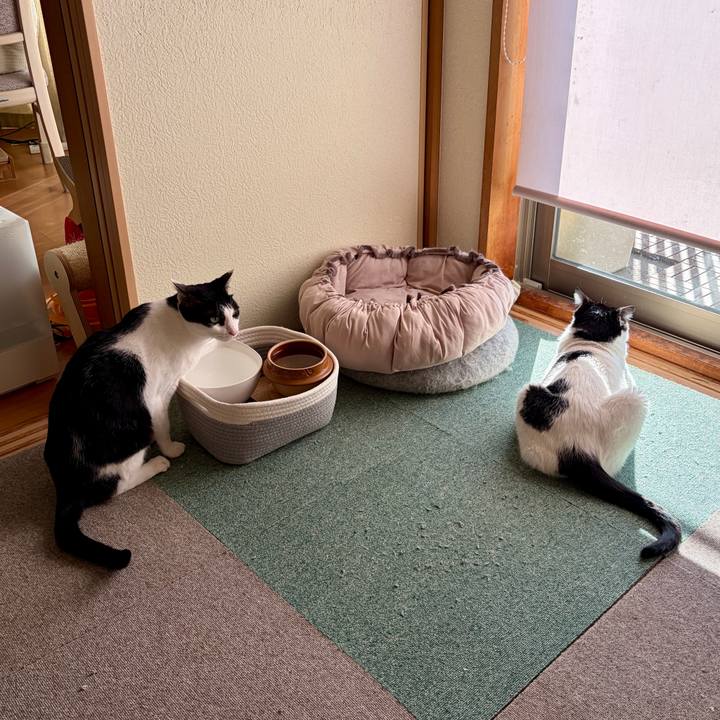 Cf23c6bd 54f9 4d93 ad98 242e961b77d7 1766971199896