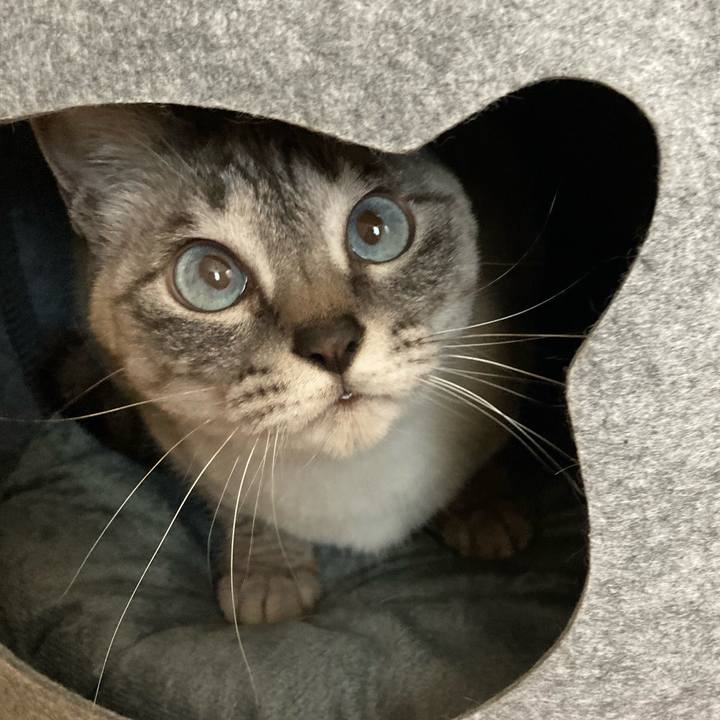 Cf23ee8a 6bca 4d67 883e 18238428df99 1647048540647