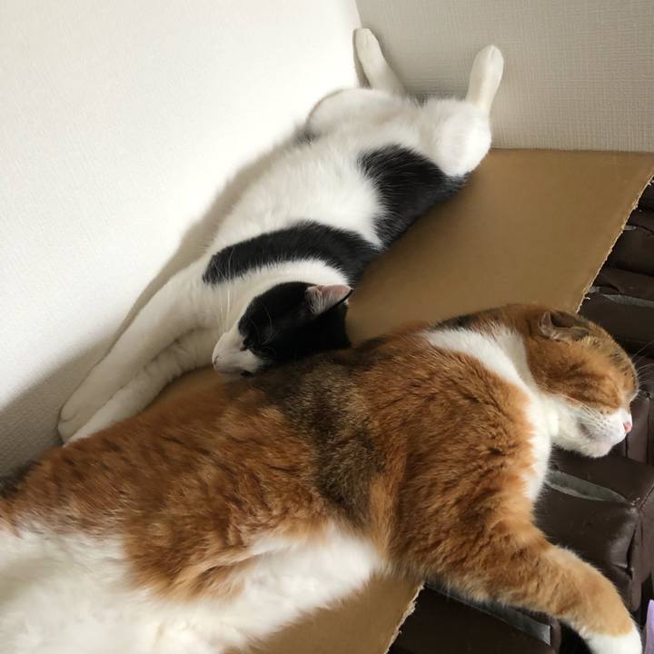 Cf23fa04 4d3f 45f5 a765 795364360e33 1633437278185