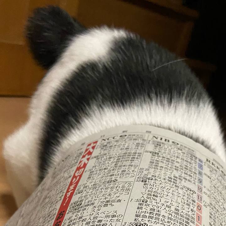 Cf24052e 152f 451c 9096 300885def0aa 1585914522677