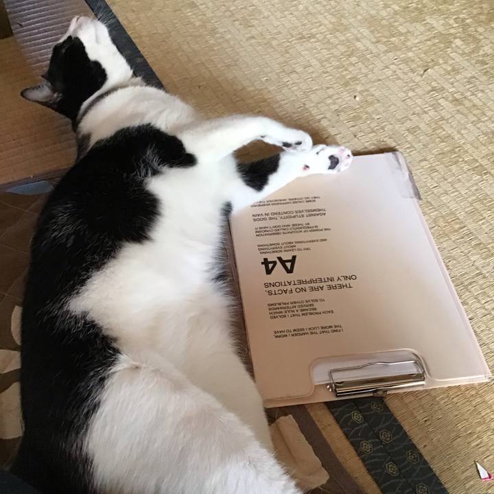 Cf240c8f fb16 46b0 b5b0 e2ee17af46bc 1653269874200