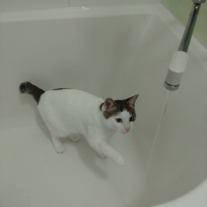 Cf2420dd f6cd 44d3 985c cf3b160338da 1666255401341