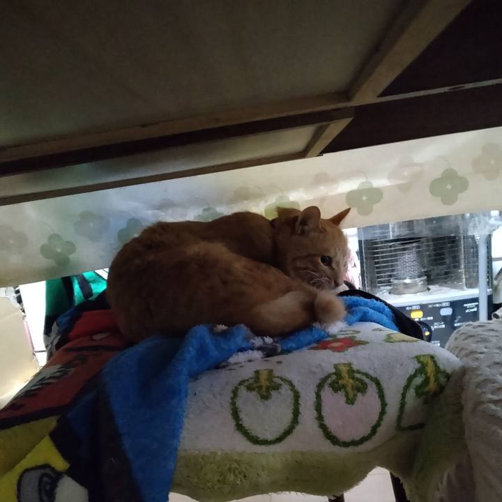 Cf24446e 4633 4510 acc8 60fde22254c1 1666301164936