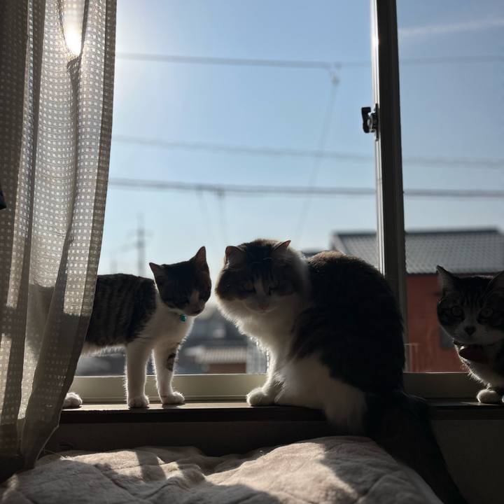 Cf244b20 55f7 4b58 8d0f cca047ece12c 1768705135902