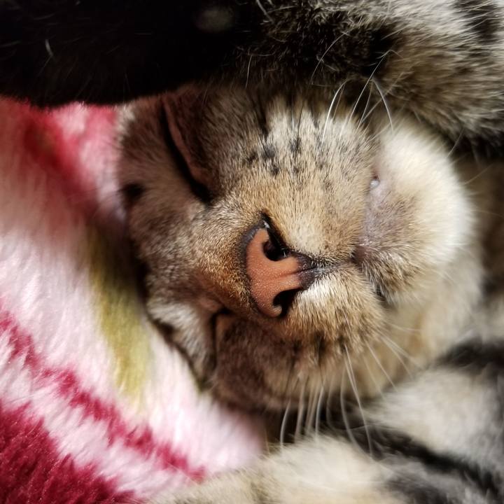 Cf248e84 9d75 48ed a392 c84e756d270f 1684592005668