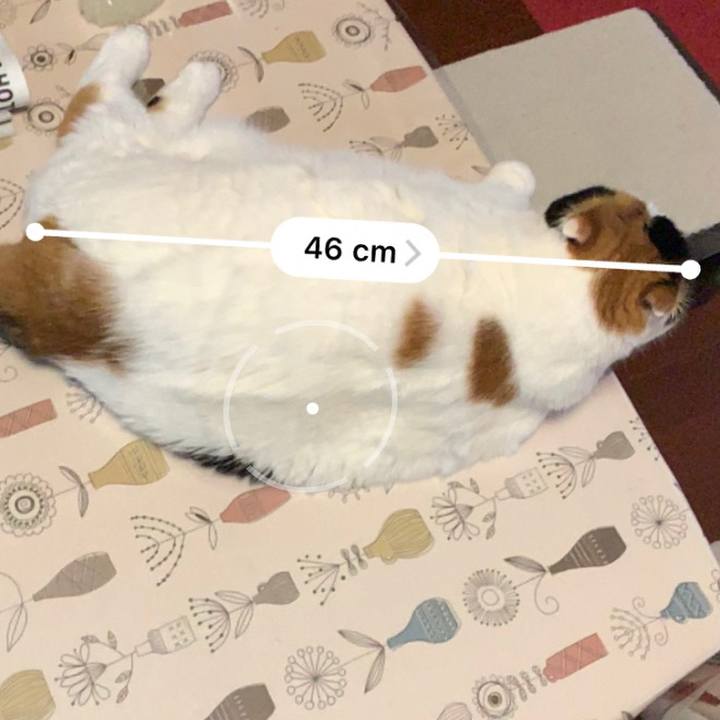 Cf24b034 3c06 4b51 b5cc 1e2f1609d2a2 1562925543774