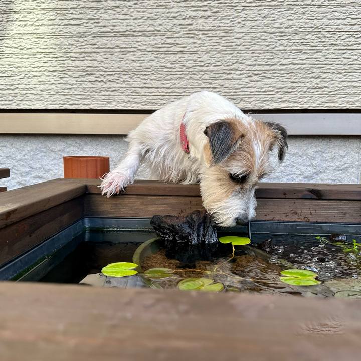 Cf24b314 2dc5 44c3 85bb 54ca04f5292d 1694521744682