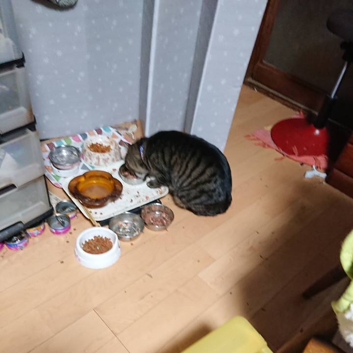 Cf24e69b 6036 41e7 89ef b736fbd4d0bd 1642800244843