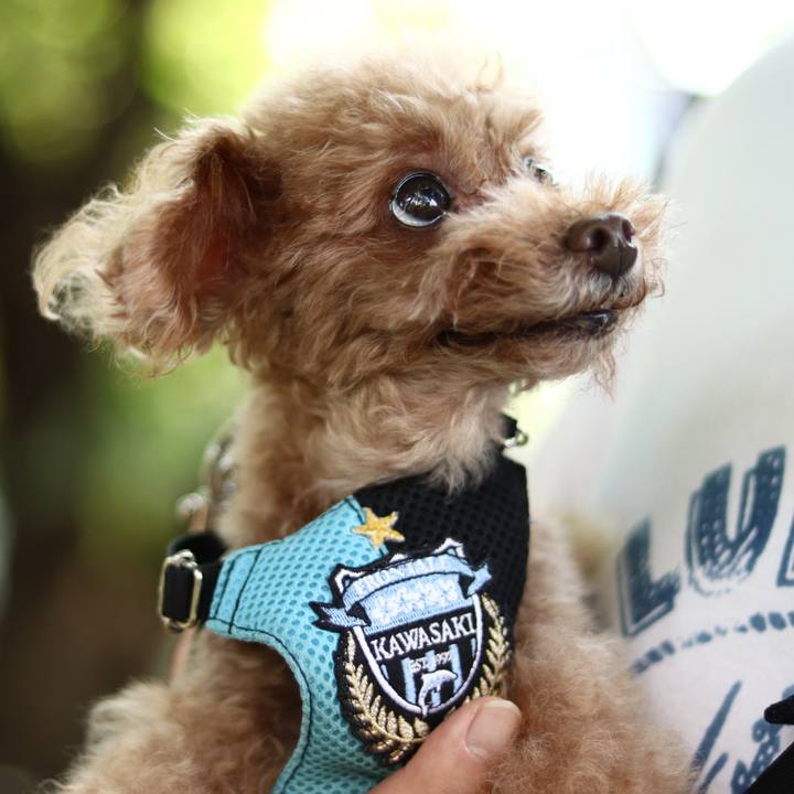 Cf24ef34 b457 4b10 9138 b8f0d78ba268 1602680750026