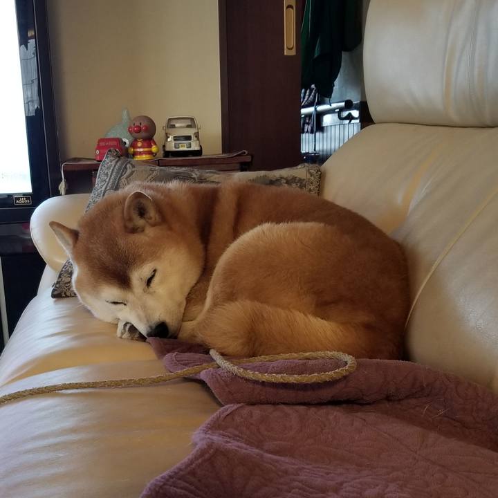 Cf2513a1 47cc 43c3 9ffa 4924820a21d8 1666824357691