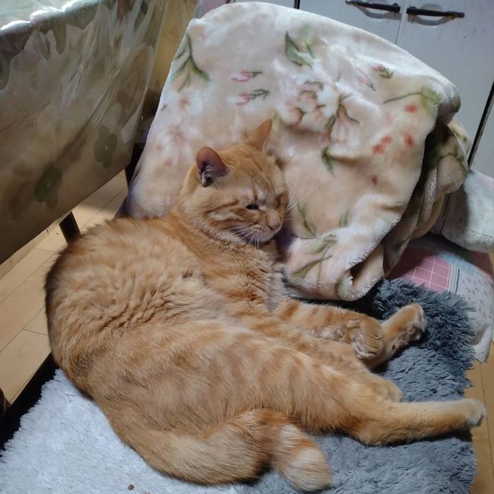 Cf253eb1 27bd 437d a9e4 27fc25076718 1664445483391