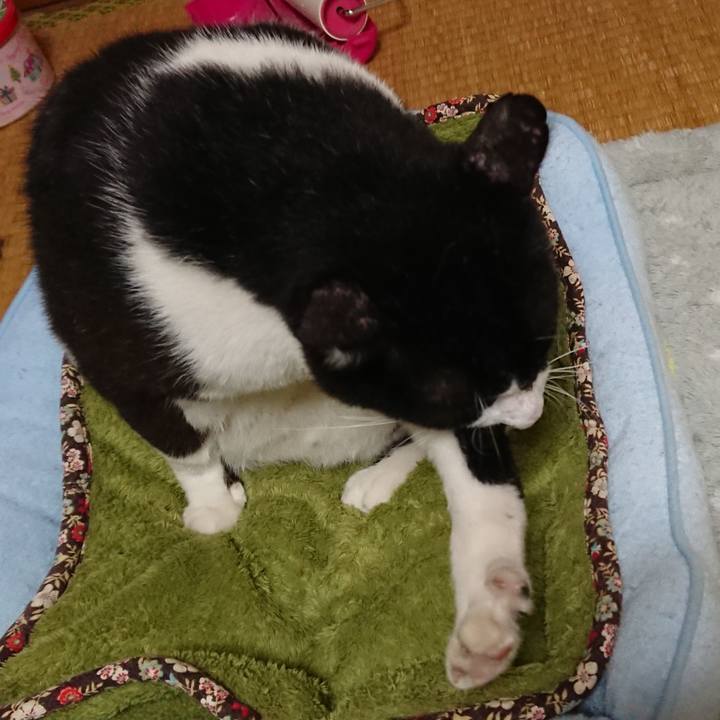 Cf254034 1c21 4f91 b5f4 12c4f22cb4d2 1538003818504