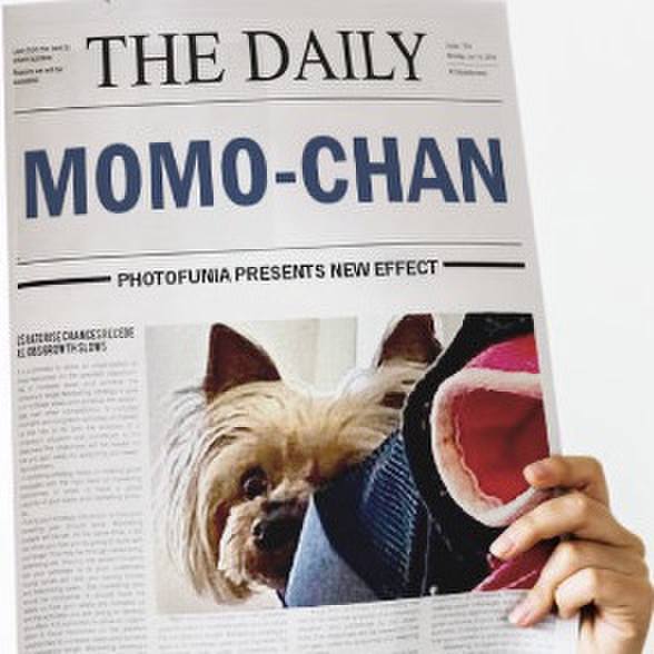 Cf25849e 95f5 4c65 9125 47df769ba271 1649898341767