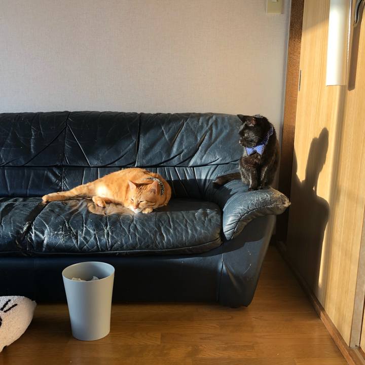 Cf25a44c 5f10 456a 8847 abe60bd24c5e 1555793478787