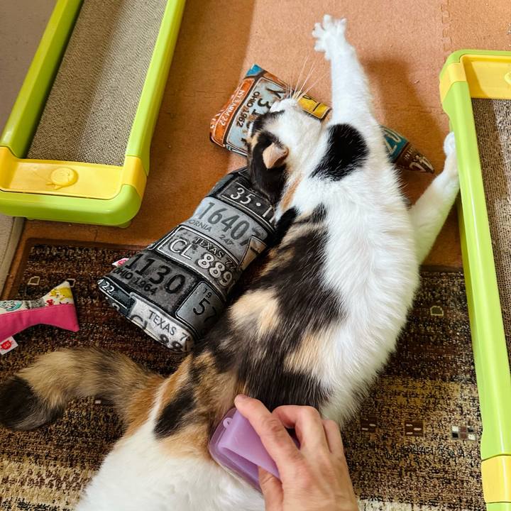 Cf25a5c4 de31 4b6f b4f6 1ca4ab4c9028 1694310552510