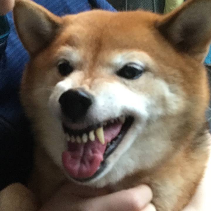 Cf25d324 8ca8 4ca2 951f a58215c00f4f 1596454530555