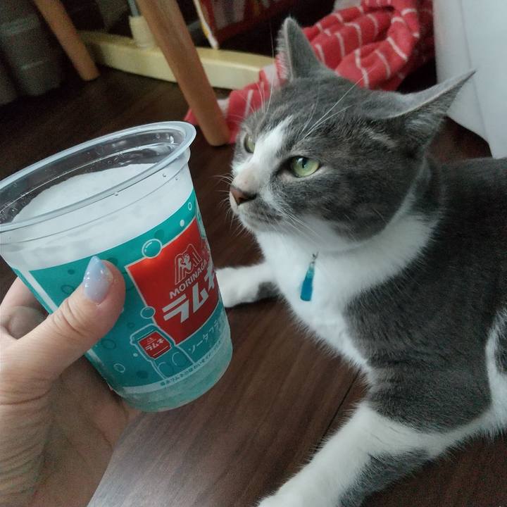 Cf25fe9d 17b5 4a43 a3f1 5dc0414abe6f 1627103037143