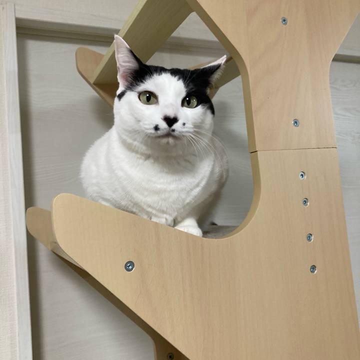 Cf2603f7 5edd 49c3 abe2 4a0830da6f61 1765054628994