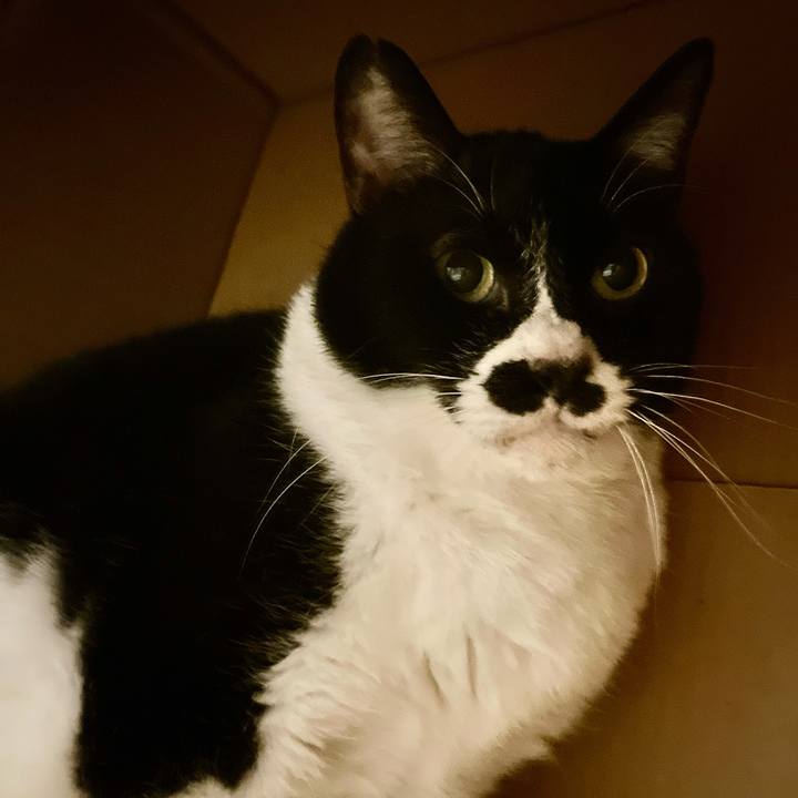 Cf261d18 5b8b 46ab b09e 2c0c0f0d14da 1711627897724