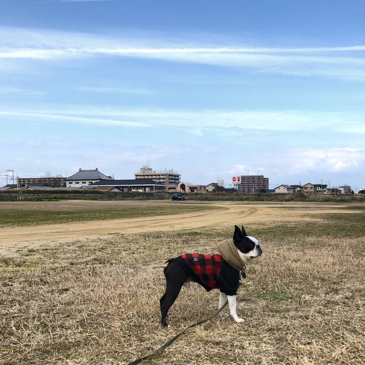 Cf263d33 42ba 4602 b324 6f38e439570b 1583128039057