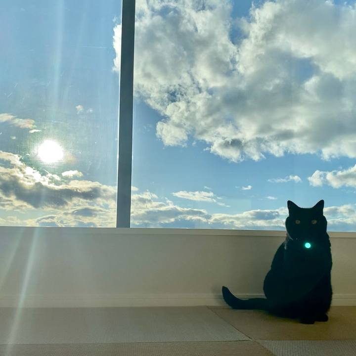 Cf265c6b a657 4770 b2a7 e6420256a46b 1636798872321