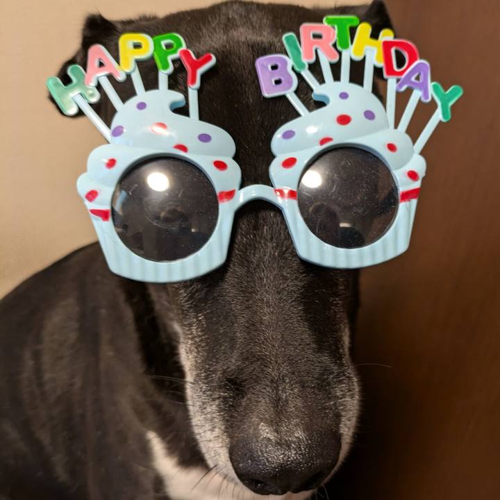 Cf267682 4e05 4ef9 9c85 4832d00fd416 1728692319422