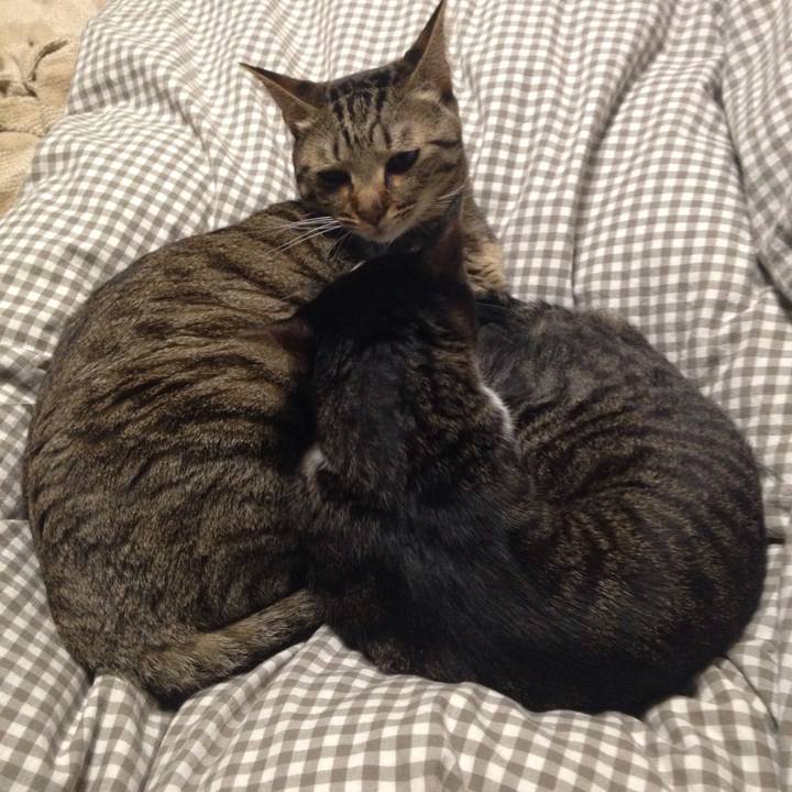 Cf26bc95 63bd 4442 841b feb667b13fee 1512309796459