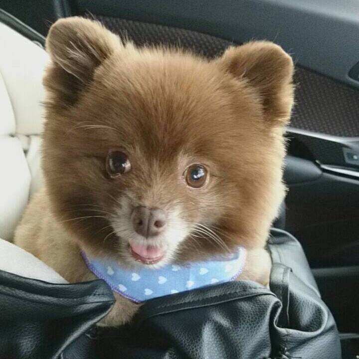 Cf271cf6 8e80 44fa ad12 b36ba21f0bd3 1527851367838