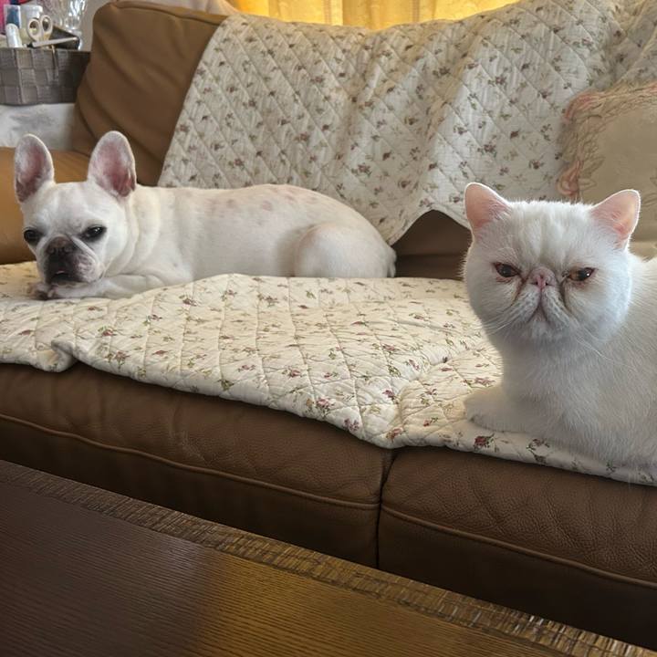 Cf272014 5f1f 4335 9770 9c4969e0a9b3 1688449919986